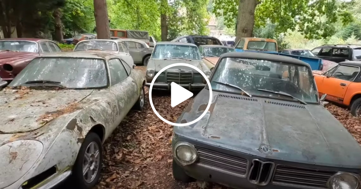 The abandoned castle hides dozens of rare cars.  It is not far from us